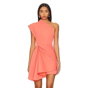 Gowrie mini dress in gerbera pink (worn ONCE!)